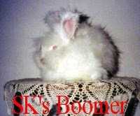 SK's Boomer