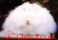 Chu's Roxie